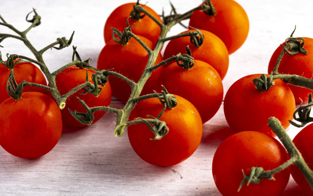 Visual Strategy Helps Grow Daytona Beach Food and Product Businesses